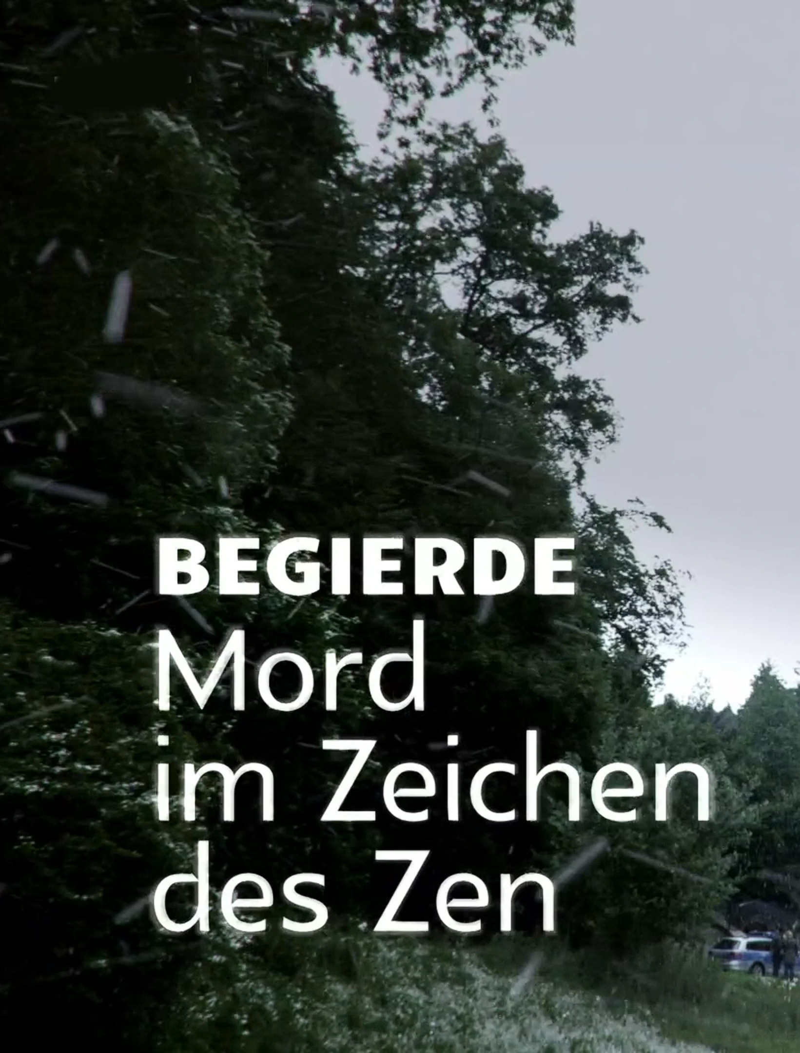 (Bild für) Begierde - Mord im Zeichen des Zen (FS - HD) - zum Schließen ins Bild klicken